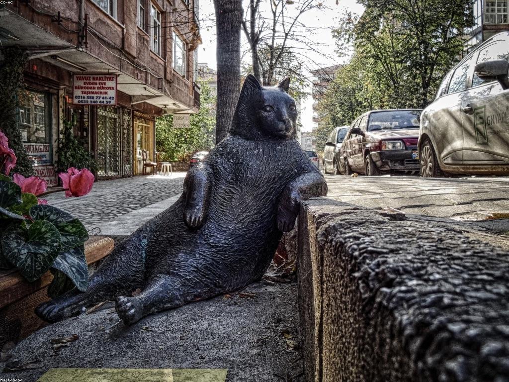 យុទ្ធសាស្ត្រដើម្បីបង្កើតសេចក្តីជូនដំណឹងថ្មី